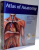 ATLAS OF ANATOMY by ANNE M. GILROY...LAWRENCE M. ROSS