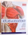 ATLAS OF ANATOMY  - THE FAMOUS SOBOTTA ILLUSTRATIONS  - ORGANS , SYSTEMS , STRUCTURES , MORE THAN 600 ILLUSTRATION , 2015