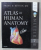 ATLAS OF HUMAN ANATOMY by FRANK H. NETTER , TEXT IN LATINA SI ENGLEZA , 2019