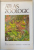 ATLAS ZOOLOGIC de CONSTANTIN BOGOESCU , ALEXANDRU DABIJA , EMIL SANIELEVICI , 1980
