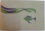 ATLASUL PESTILOR DIN APELE R.P.R. de TH. BUSNITA, I. ALEXANDRESCU , 1963