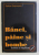 BANCI , PAINE SI BOMBE de STEFAN ERDMANN , 2005
