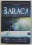 BARACA UNDE TRAGEDIA INTALNESTE ETERNITATEA de WM . PAUL YOUNG , 2009