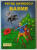 BASME de PETRE ISPIRESCU , 2008 , PRIIMELE 2 PAGINI CU DESENE SI INSEMNARI *