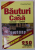 BAUTURI DE CASA , CONSUM - COMERT de FLORENTINA PAVEL , 2001