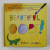 BEAUTIFUL OOPS by BARNEY SALTZBERG , 2010