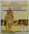 BELSER  WELTGESCHICHTE DER KUNST ( ISTORIA ARTEI MONDIALE ) , von MARY HOOLINGSWORTH , 2005, TEXT IN LIMBA GERMANA