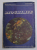 BIOCHIMIE de MATILDA ROSETTI COLTOIU , NICULINA MITREA , 1985