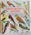 BIRDS OF GREAT BRITAIN AND EUROPE , A BIRD SPOTTER'S GUIDE , TEXT by JIRI FELIX , ILLUSTRATIONS by KVETOSLAV HISEK , 2000