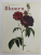BLUMEN von PIERRE - JOSEPH REDOUTE , 1997
