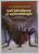 BOLI INFECTIOASE SI EPIDEMIOLOGIE de Dr. CONSTANTIN BOCARNEA , MANUAL PENTRU SCOLILE POSTLICEALE , 1995