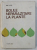 BOLILE NEPARAZITARE LA PLANTE - PREVENIRE SI COMBATERE de ANA HULEA , 1971