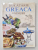 BUCATARIE GREACA SI VINURI , SPECIALITATI LOCALE , RETETE TRADITIONALE ILUSTRATII , 2006