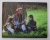 BUCOVINA - TARA FAGILOR , ALBUM DE FOTOGRAFIE , TEXT IN ROMANA , GERMANA , ENGLEZA  de FLORIN ANDREESCU , 2008