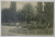 BUCURESTI , GRADINA ' CISMIGIU ' , ORNAMENT FLORAL INTRE ALEI , CARTE POSTALA , INCEPUTUL SEC. XX