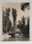BUCURESTI , POD DIN BETON IMITAND LEMNUL,  PE LAC , UNI - FOTO W.WEISS , FOTOGRAFIE MONOCROMA , PERIOADA INTERBELICA