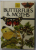BUTTERFLIES AND MOTHS by BRIAN HARGREAVES and MICHAEL CHINERY , 1981