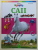CAII , idee si text de ANJA SCHRIEVER , ilustratii de SANDRA MENKE , ANII ' 2000