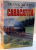 CARACATITA , POVESTIRE DIN CALIFORNIA , 2005