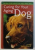 CARING FOR YOUR AGING DOG by JANICE BORZENDOWSKI , 2007