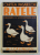CARTEA PASARILOR - RATELE , CRESTEREA SI EXPLOATAREA LOR de I . CALINESCU , 1938