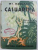 CASUARINA de W.S. MAUGHAM , EDITIE INTERBELICA