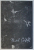 CATALOG DE EXPOZITIE PAVEL CODITA , 1958