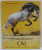 CEI MAI FRUMOSI CAI , THE WORLD 'S MOST BEAUTIFUL HORSES de GABRIELLE BOISELLE , ALBUM DE FOTOGRAFIE COLOR , 2017