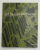 CELL STRUCTURE AND FUNCTION by ARIEL G. LOEWY and PHILIP SIEKEVITZ , 1963