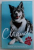 CHANDI by TINA HUMPREY , 2012