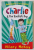 CHARLIE and THE ROCKET BOY by HILARY McKAY , illustrated by SAM HEARN , 2008