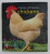 CHOOSING AND KEEPING CHICKENS , by CHRIS GRAHAM , 2009