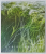 CLAIRE BASLER , ALBUM DE ARTA IN LIMBA FRANCEZA , 2017