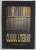 CLUJUL LITERAR 1900 - 2005, DICTIONAR ILUSTRAT , alcatuit de IRINA PETRAS , 2005