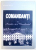COMANDANTI AI ARMATEI A 4 - A 