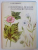 COMBATEREA BOLILOR PLANTELOR TEXTILE de D. BECERESCU , 1979