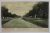 COMUNA MASLOC ( BLUMENTHAL ) TIMIS , STRADA PRINCIPALA , CARTE POSTALA ILUSTRATA , INTERBELICA