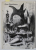 CONCEPTUL DE FORMA IN SCULPTURA MODERNA de DINU RADULESCU , 2005 , EXEMPLAR NR.1 DIN 100 , DEDICATIE *