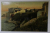 CONSTANTA , VEDERE SPRE HOTEL CAROL , CARTE POSTALA , INCEPUT DE SECOL XX