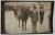 COPIL CALARE PE CAL , SCENA DE GRUP , CARTE POSTALA , 1930
