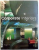 CORPORATE INTERIORS NO. 6 by ROGER YEE , 2005