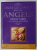 DAILY GUIDANCE FROM YOUR ANGELS , ORACLE CARDS , A 44 CARD DECK AND GUIDEBOOK , by DOREEN VIRTUE , 2006