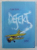 DEFEKT - roman de FLORIN IRIMIA , 2011