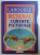 DICTIONAR DE CURENTE PICTURALE , TENDINTE , MISCARI , SCOLI , GENURI DIN EVUL MEDIU PANA IN PREZENT , 2000