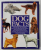 DOG FACTS by JOAN PALMER , 1999