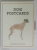 DOG POSTCARDS , illustrated by POLLY HORNER , 2001