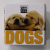 DOGS - CUBE BOOK , edited by VALERIA MANFERTO DE FABIANUS , ANII '2000 , FORMAT MIC , CUB