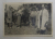 DOMNI SI DOAMNE LA HERGHELIE DE CAI , FOTOGRAFIE MONOCROMA, , PE HARTIE MATA , DATATA 1932