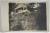 DOUA DOAMNE IN EXCURSIE LA CUMPANA , PE DRUMUL SPRE CABANA , FOTOGRAFIE TIP CARTE POSTALA , 1930