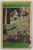 DUMNEZEU IN NATURA de CAMILLE FLAMMARION , 1938